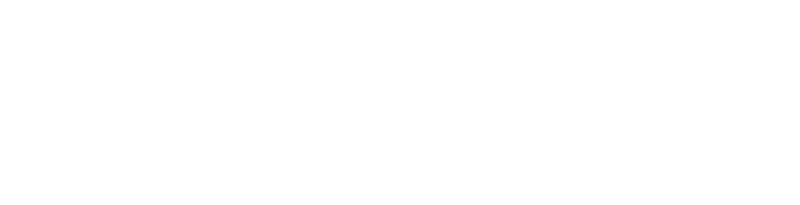Fast Love band logo